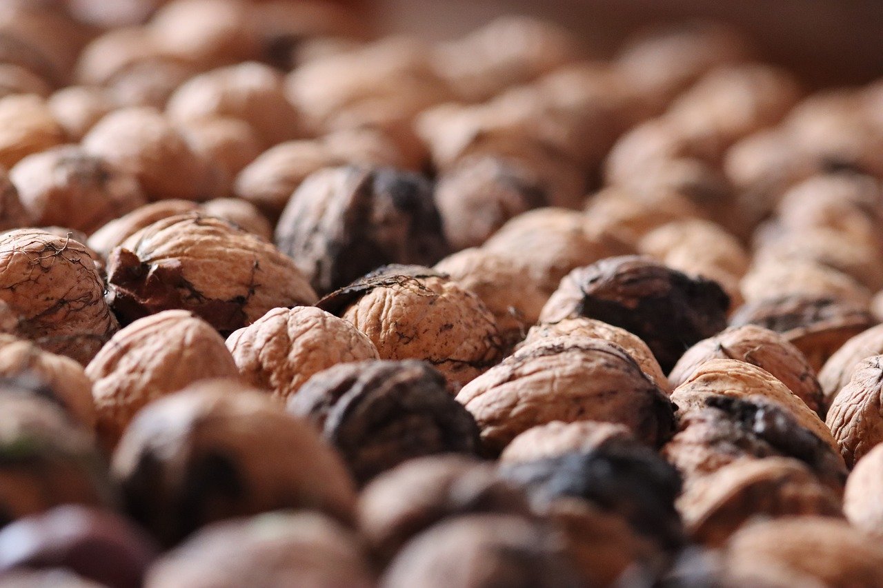 新天龙八部怀旧服辅助- 鱼台代理记账注册流程