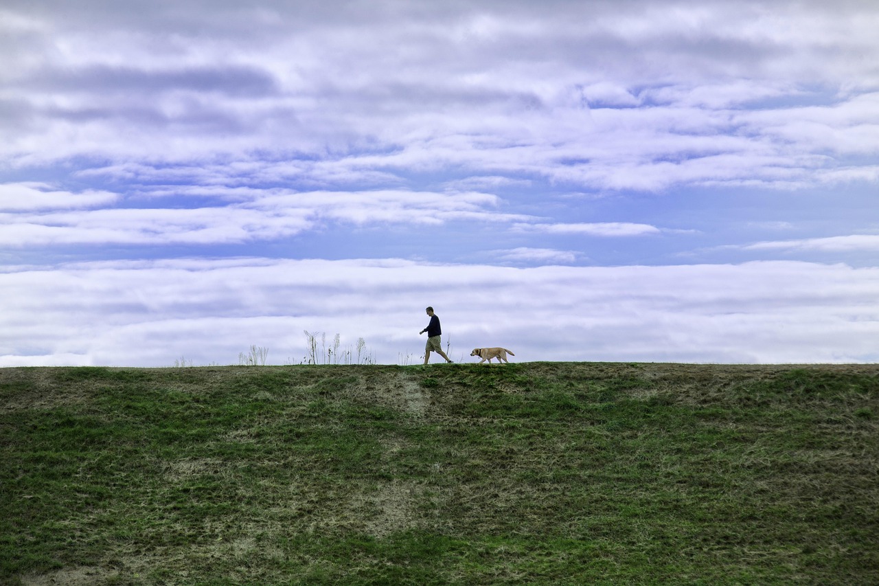 微信批发：拼多代理平台