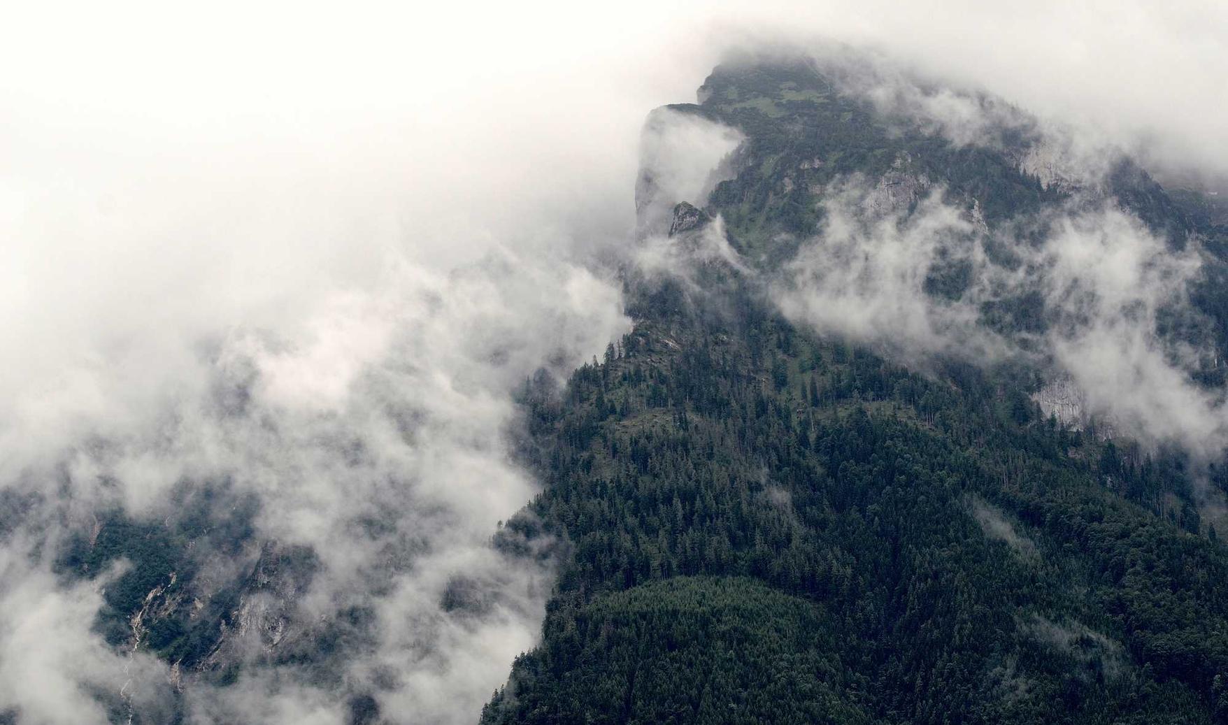 分发实名账号：露娜币可以在哪个平台购买